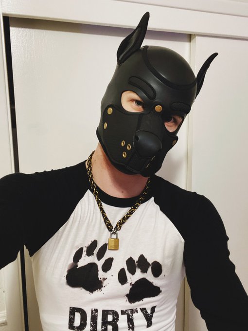 DIRTY PUP????? SAYS WHO! https://t.co/KoBL2i2UWl