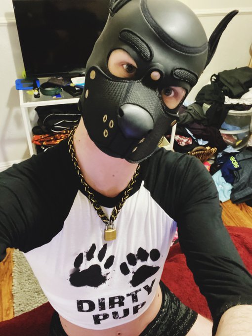DIRTY PUP????? SAYS WHO! https://t.co/KoBL2i2UWl