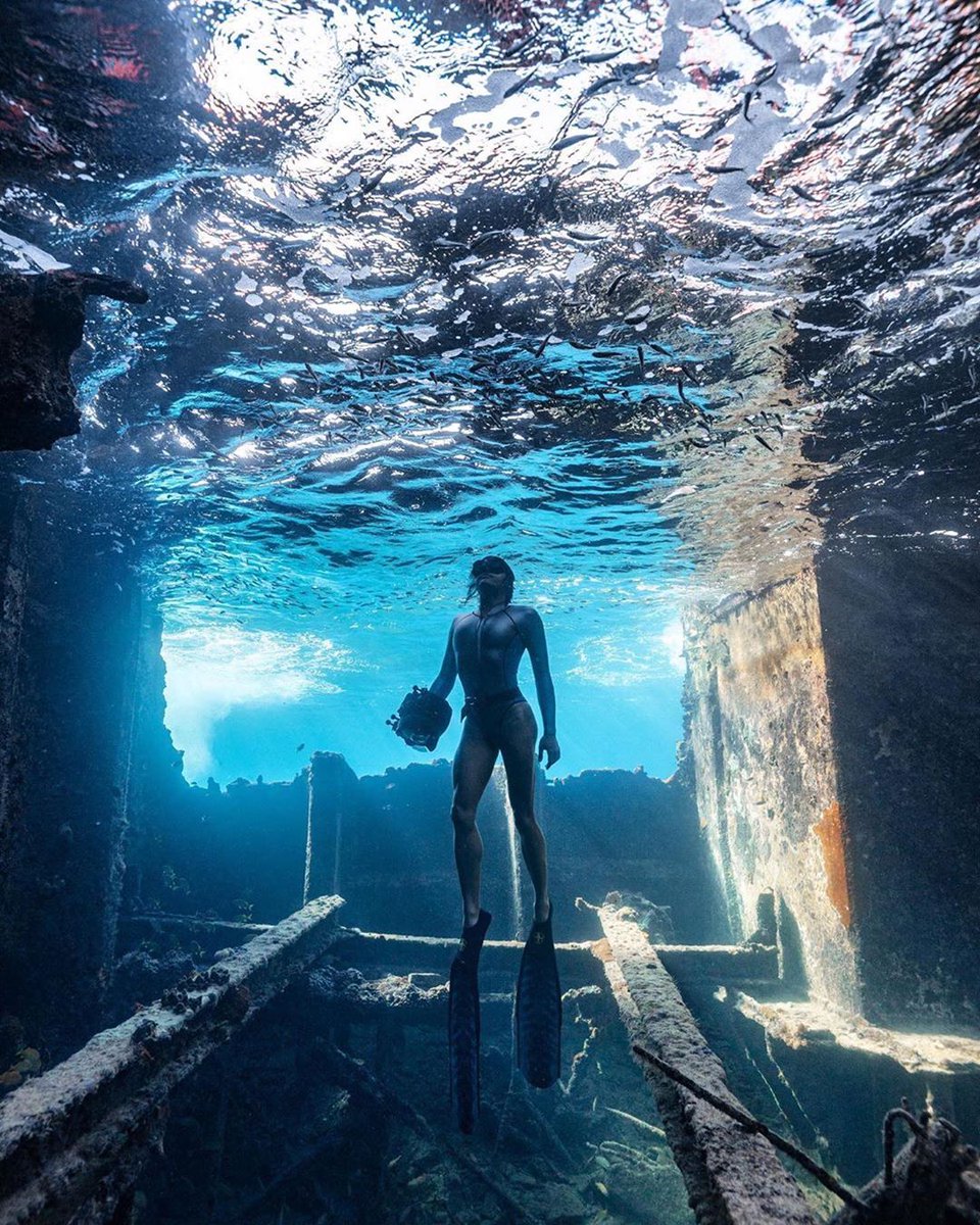 khvetkevych's tweet photo. The glass ceiling of the underwater world ~ Стеклянная крыша подводного мира. https://t.co/EV2SfLy0xw #nature #underwaterphotography #love #exploration #thisgirlcan #shipwreck #waterborn #wow #caribbean #fitnessball #workout #freedive #motivation #inspirez https://t.co/4R0V7aK4yF