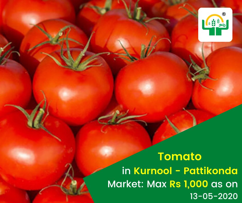 napantaofficial's tweet photo. #Tomato in Kurnool - Pattikonda market: Max Rs 1,000 as on 13-05-2020. For information visit:https://t.co/CDYphOc0aC

#Tomato #Pattikonda #NaPanta #DigitalAgriculture https://t.co/pIeNfXtv0q