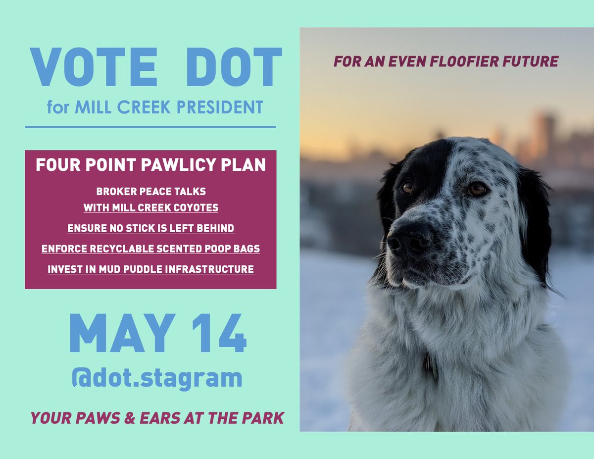 The_Rosbif's tweet photo. Dot has been proud of her campaign so far. She was thrilled to be able to share part of her pawlicy platform today on @ctvedmonton.
Dot is clearly the best choice for Mill Creek Off-leash Dog Park President.
#offleashelxn #votedot #yegdog https://t.co/jQiPpkiJXr