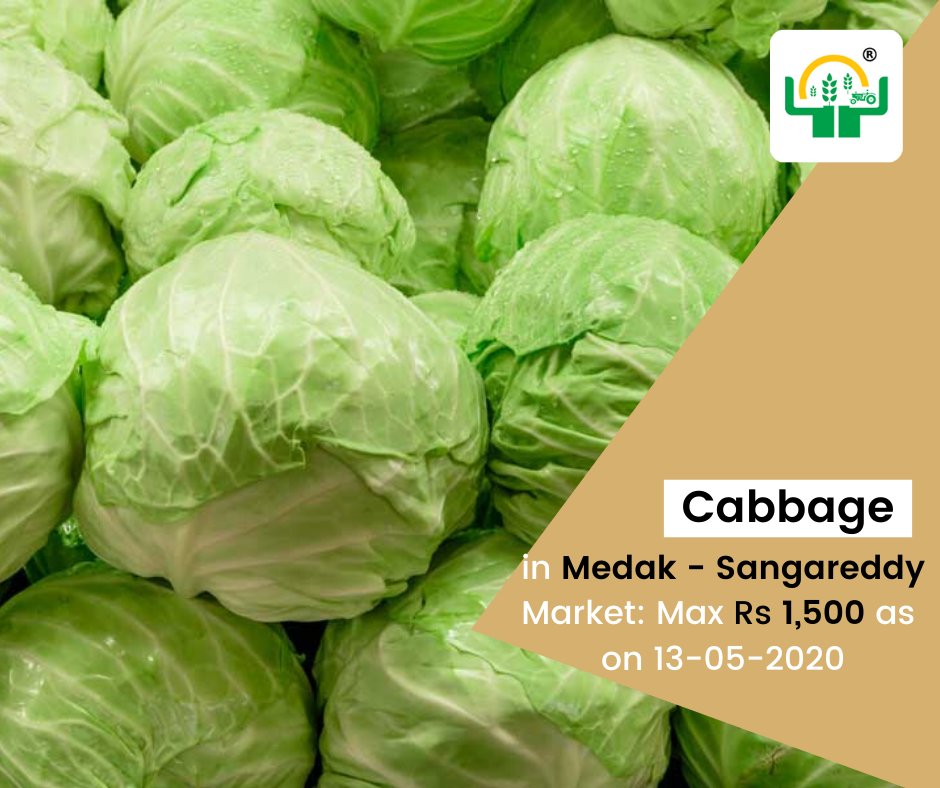 napantaofficial's tweet photo. #Cabbage in Medak - Sangareddy market: Max Rs 1,500 as on 13-05-2020. For information visit:https://t.co/teRr8RO47P

#Cabbage #Sangareddy #NaPanta #DigitalAgriculture https://t.co/HrMI2I13i0