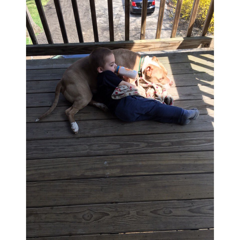 ashleydegexo's tweet photo. Best buds ❤️🥺 https://t.co/LYBa4vtuWl