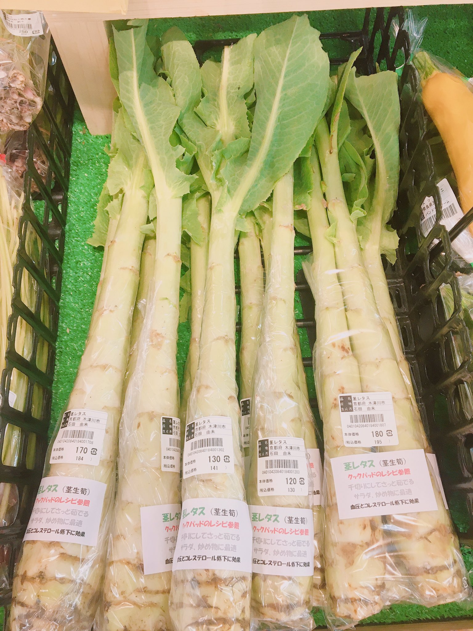 公式 旬の駅ならやま本店 おはようございます 今日はちょっと珍しいお野菜が 入荷しました その名は 茎レタス なかなかお目にかからない 直売所ならではのお野菜です お漬物 である 山くらげ の原料ですよ 天気も良いですし今日も1日
