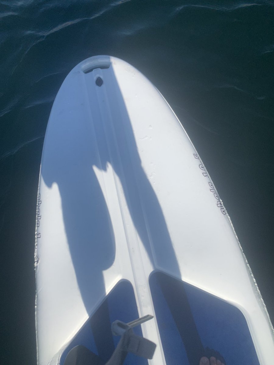 mpress77's tweet photo. @wernedat And paddle boarding https://t.co/NDItJ4fCTi