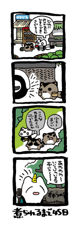 @DoyonoJun 100日後に煮られるタケノコ56 