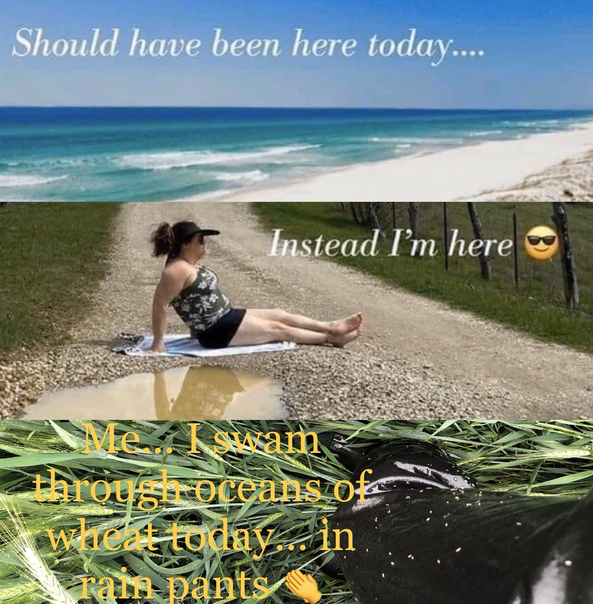 Southern FS Agronomy tweet media