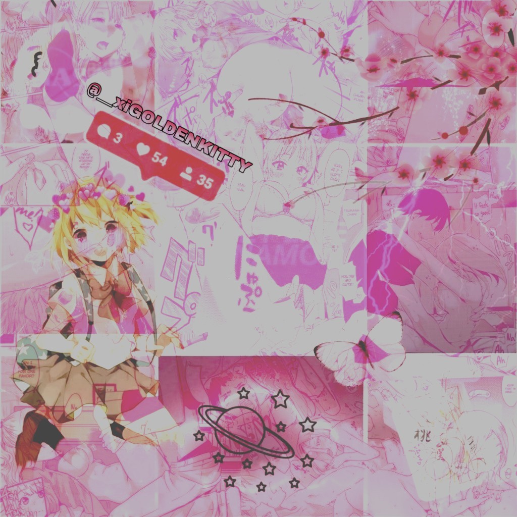 __xiGOLDENKITTY tweet picture