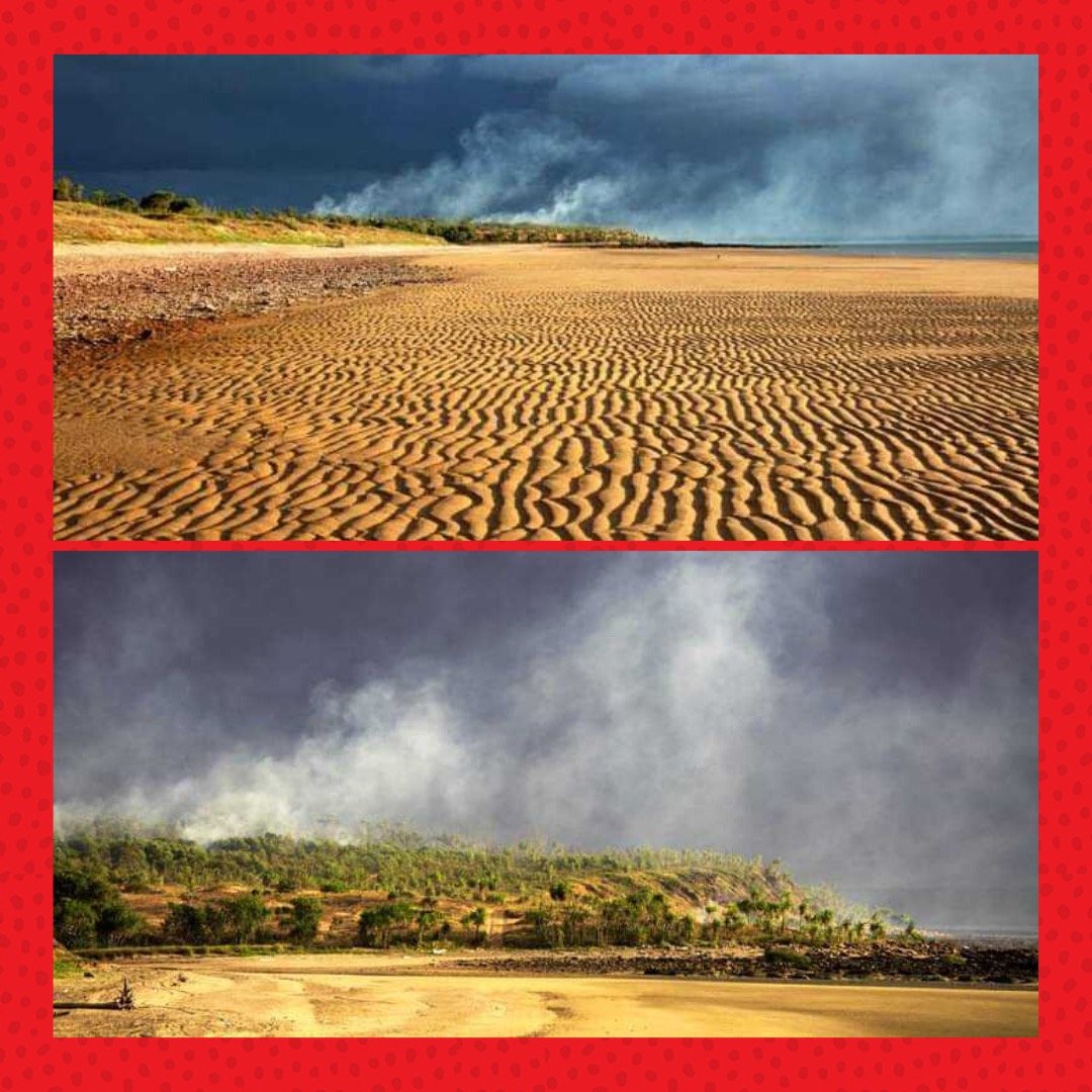 murrup_spirit's tweet photo. We are lucky to partner with such beautiful communities, here are some photos from Galiwinโku, NT.
๐ท Sheena, Programs Officer, Galiwinโku
#cathyfreemanfoundation #educationchangeslives #learningoncountry https://t.co/U18rNDOLP0