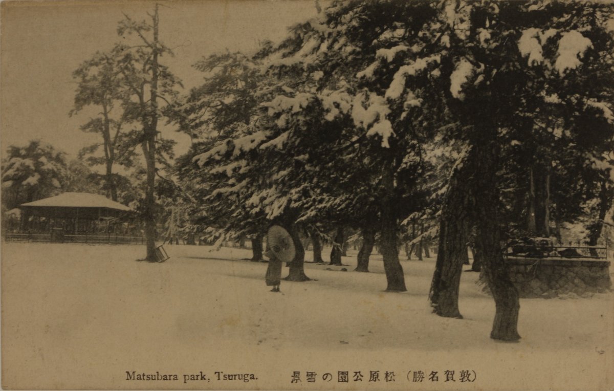 松原公園の雪景 敦賀名勝 明治 大正時代 近頃暑くなってきましたね 今日はひやっとする絵葉書をご紹介 気比の松原は気比 05 14 敦賀市立博物館 山車会館
