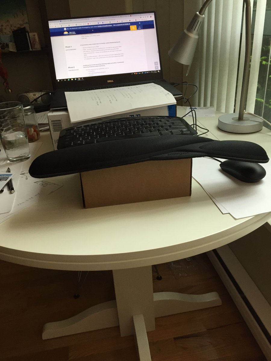 AND...I have made myself a standing desk because I cannot sit and type anymore. Now I stand and type! #WFH #deardiary #wherearemycolleagues