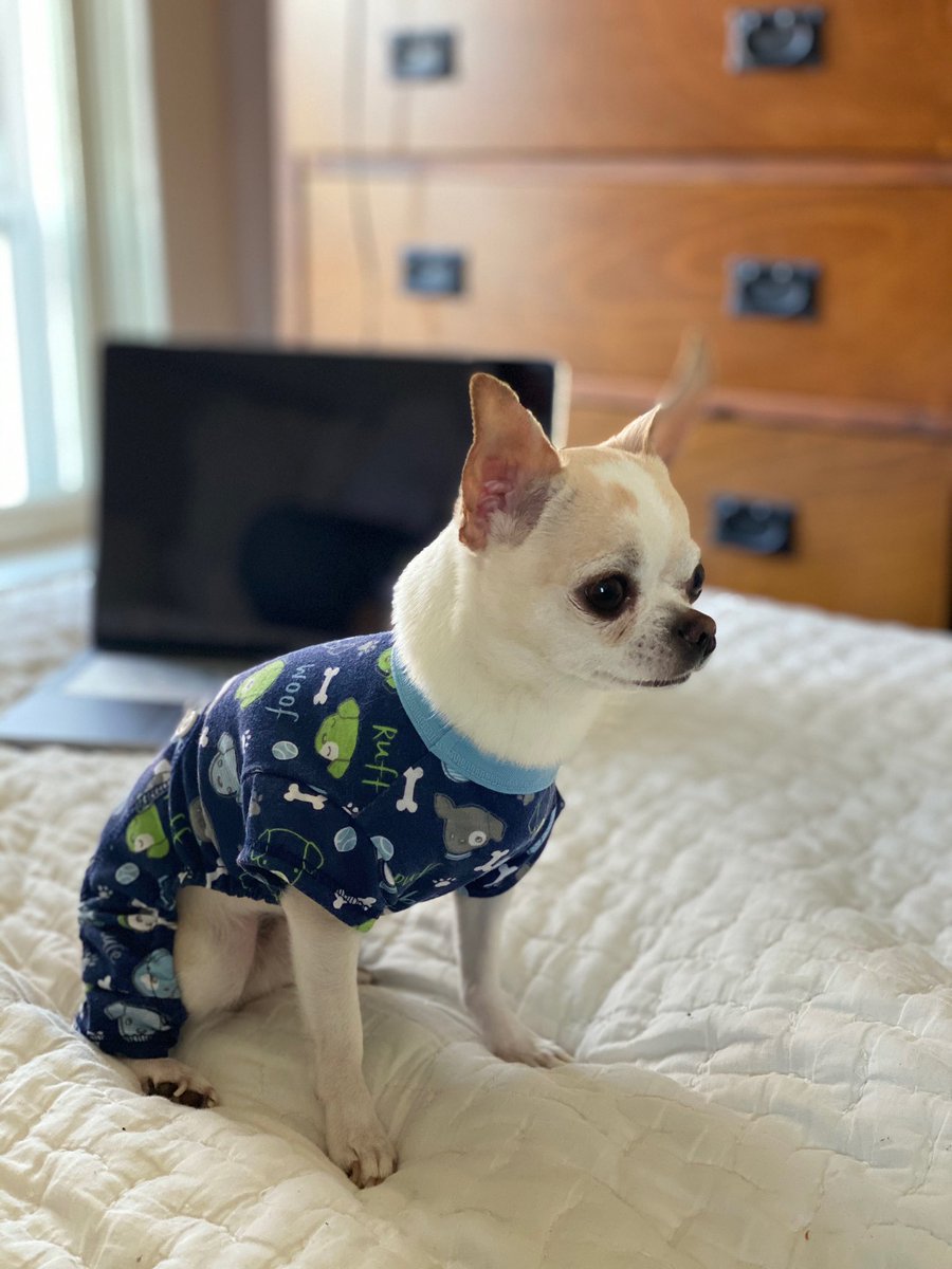 staceysole2020 tweet media