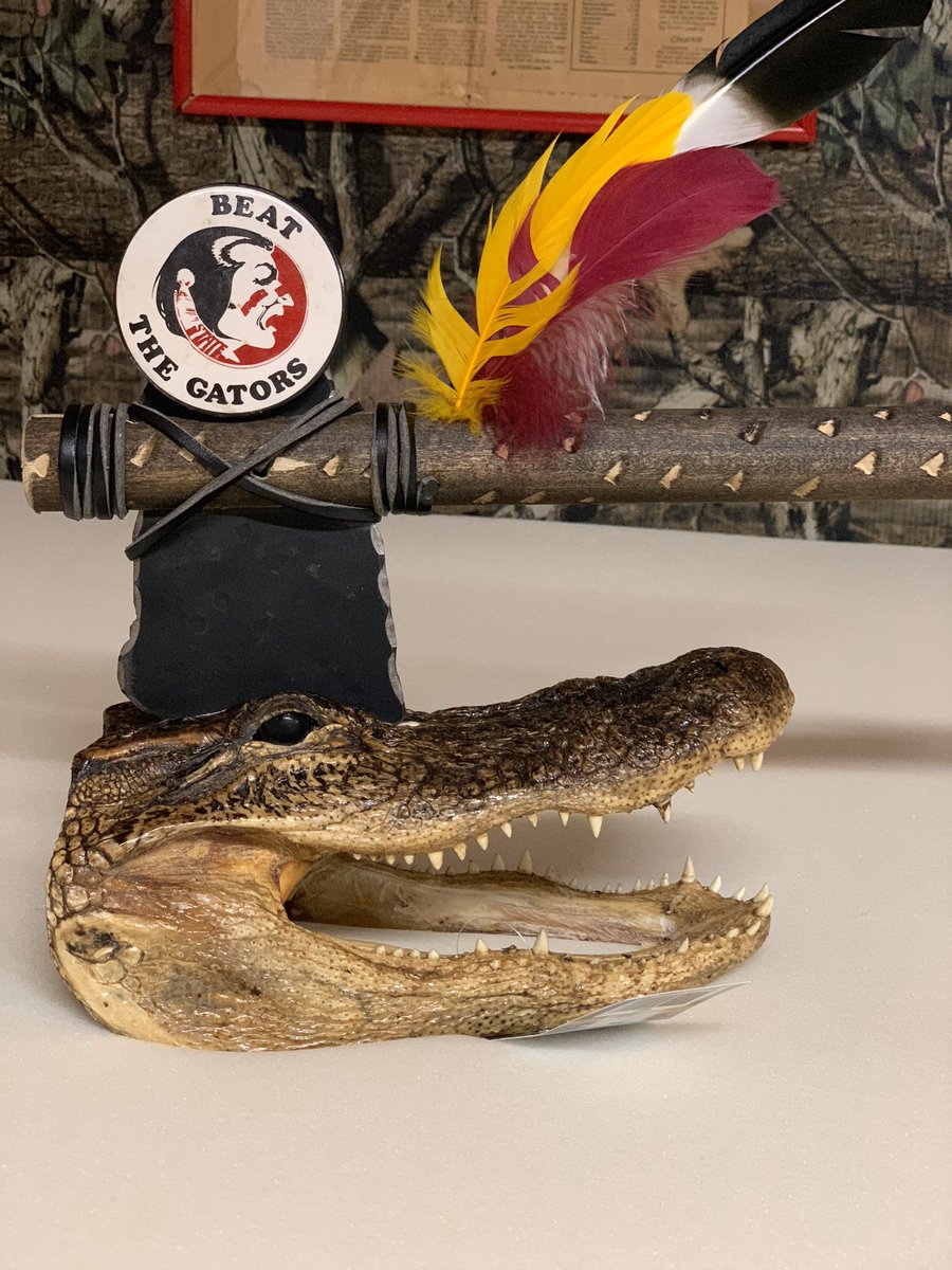 johnlojan1's tweet photo. I have a bunch of gatorheads with tomahawks starting at $85 please visit https://t.co/6jXd0C5ZeF https://t.co/t4gc4ZBIQY