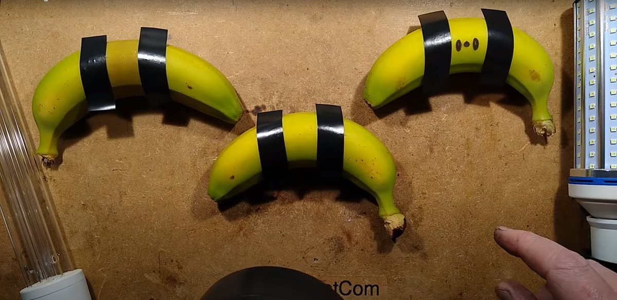 I've wondered into the section of youtube where they're taping bananas. I need an adult
