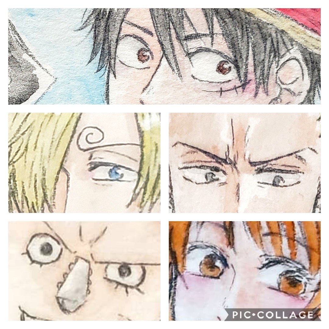 菊 目元だけでもちょっと描き方変わってるの分かると嬉しいな ルフィとナミさんは丸型でサンジくんとゾロは細めのたれ目 フランキーは小さめのまん丸お目目 T Co Hncgk8hy5h Twitter