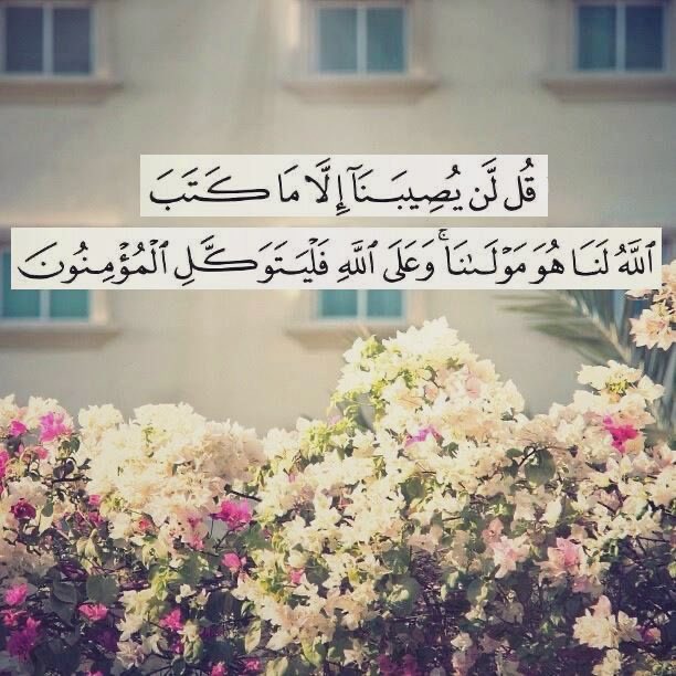 قال الله تعالى :
﴿ قُل لَّن يُصِيبنا إِلا ما كتب اللَّهُ لنا ﴾
الحياة رِحلة وليست سباقا
أقدارنا قد كُتِبَت
وأعمارُنا قد حُدِّدت
وأرزاقنا بِدِقةٍ قُسِمت وحُسِبت
    اِمضِ في رحلَتِك 
راضيًا ، حامدًا ، شاكرًا

 #ليله_القدر