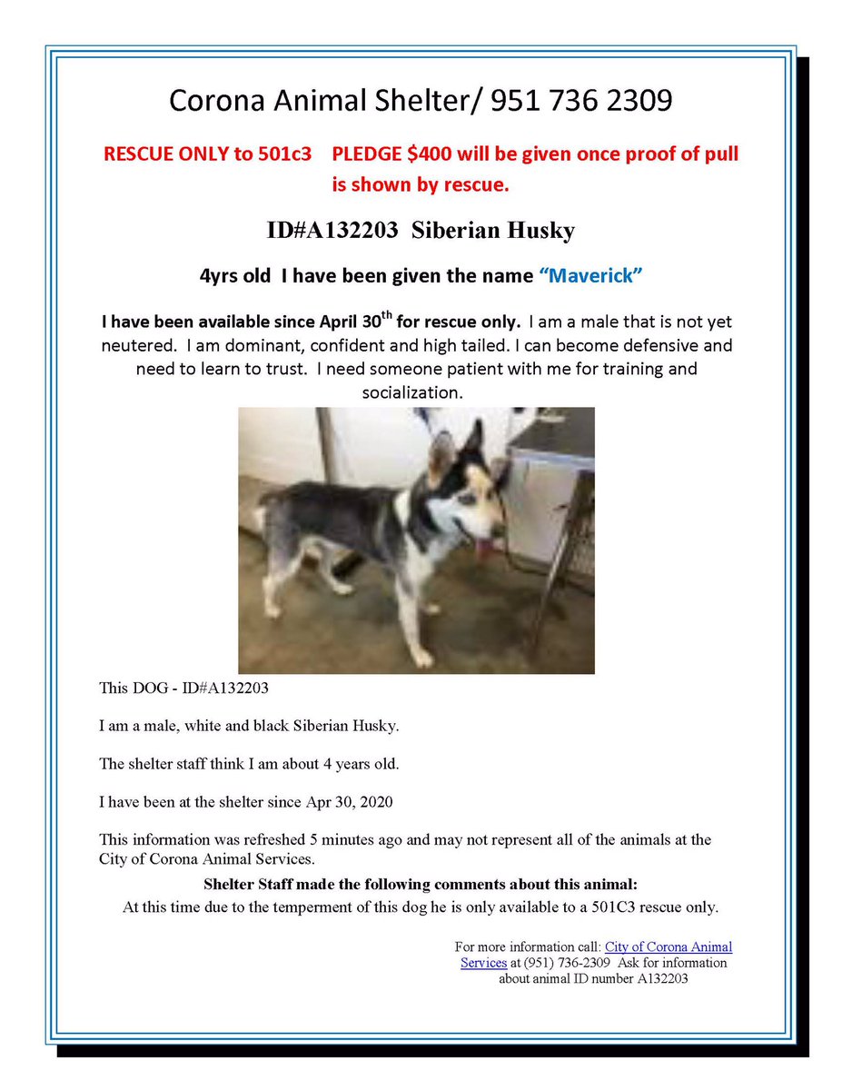 FriendsofCorona's tweet image. 