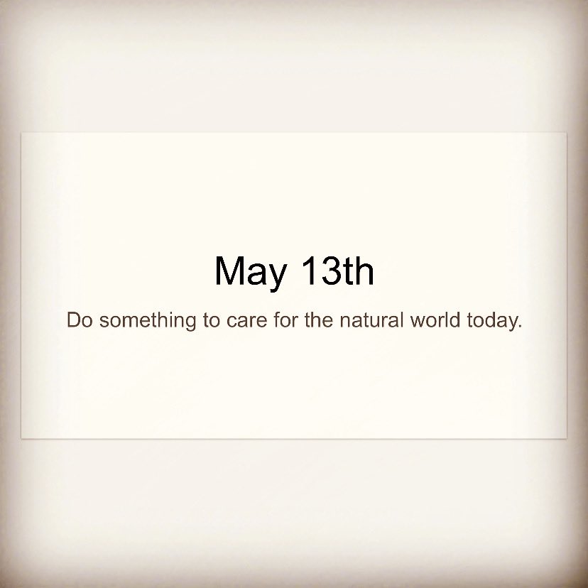 LibertyMiddleS2's tweet photo. #MeaningfulMay #lmsathome2020 https://t.co/0X6qx6ytYk