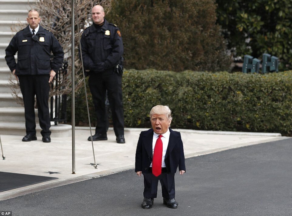 LeonaLioness6's tweet photo. @realDonaldTrump https://t.co/3OMnEhN0xk