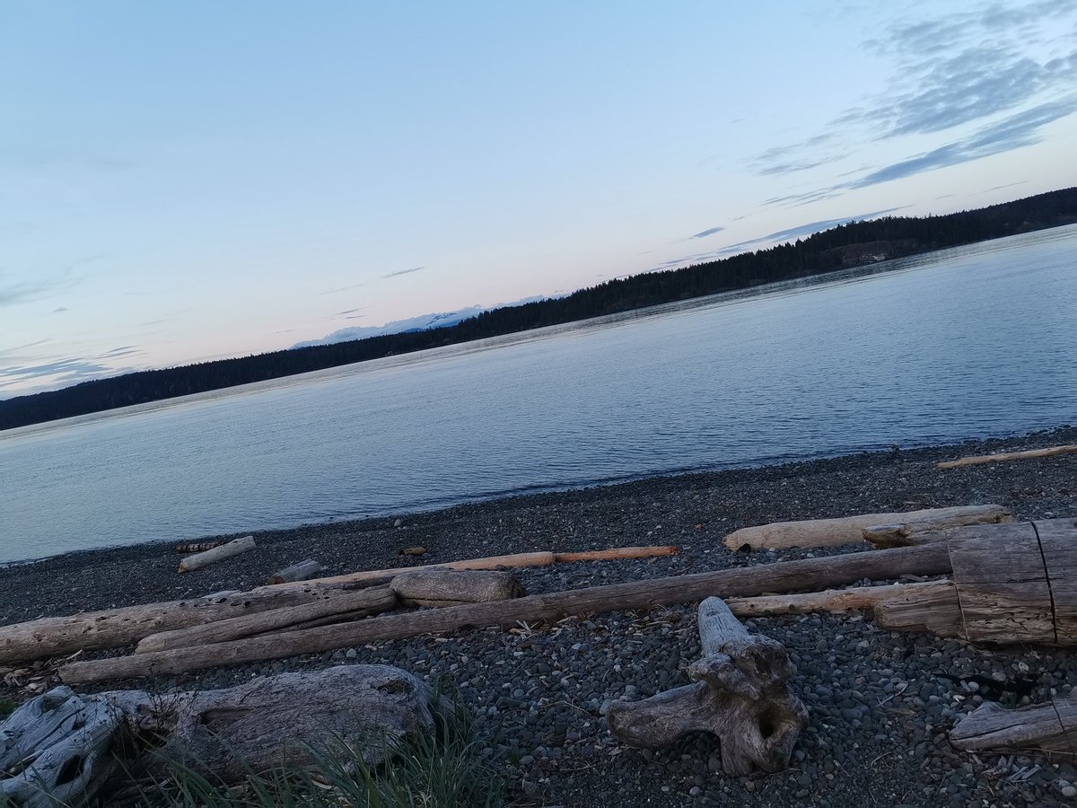 Day 5/7 of my life in pictures. No words, no people. 
<a href="/J_Stephens_CPA/">Jeremy Stephens</a> nominated me. 
#PacificOcean #Backyard #TyeePool