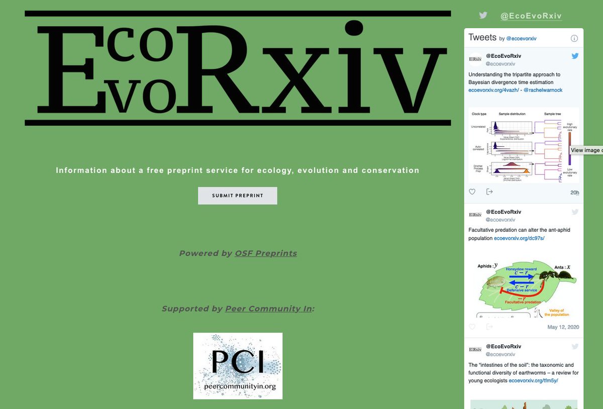 ecoevorxiv's tweet photo. We now host over 200 #preprints! Many thanks for everyone's support 👏👏👏

 Keep those preprints coming! 

Big shout out to @PeerCommunityIn for supporting us via  @OSFramework
 
We are currently looking for more ambassadors (https://t.co/AMQdfiHPBy)

#openscience https://t.co/h17Lckrnae