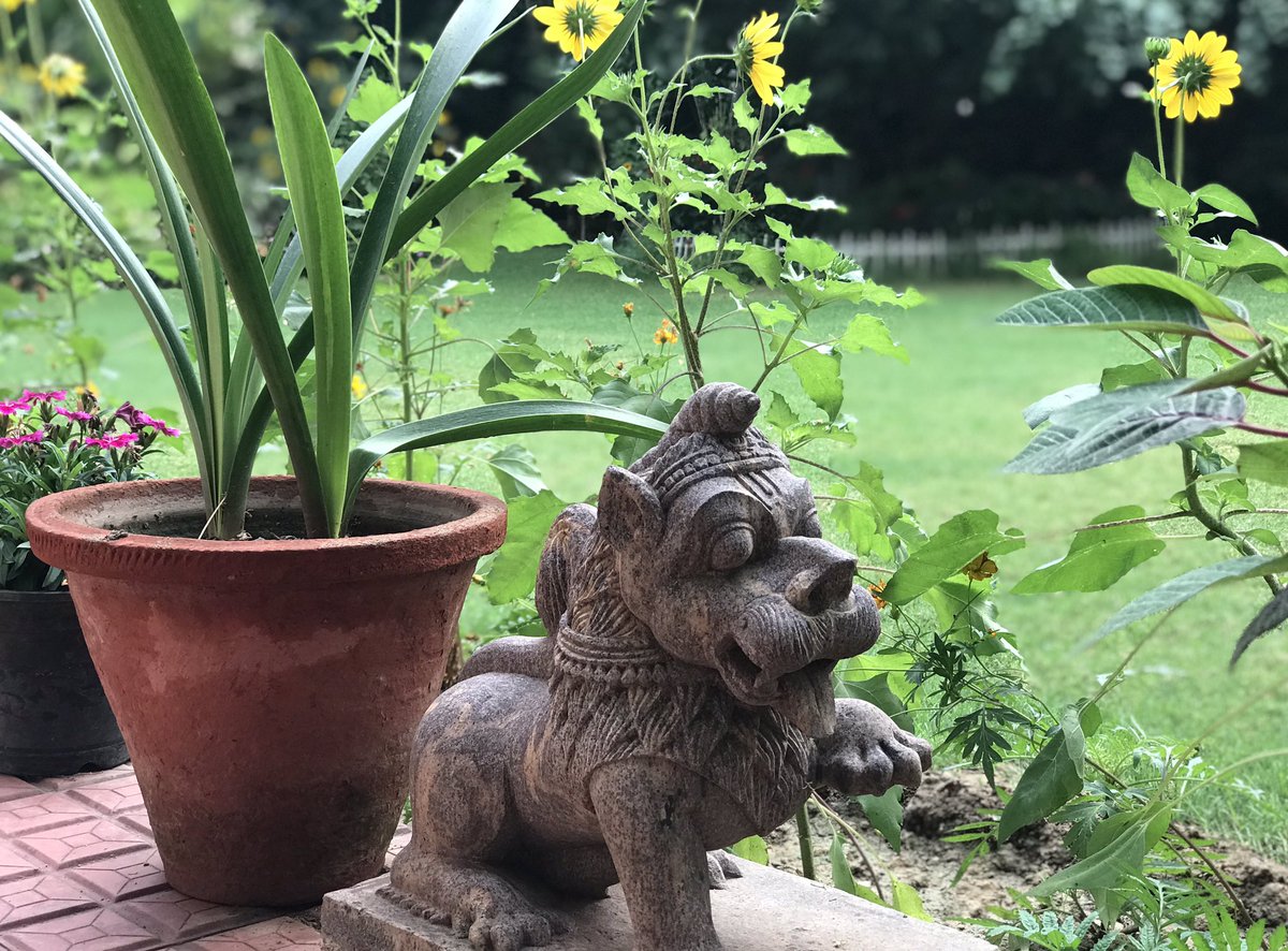 This small sculpture in our garden is a representative sample of  #Odisha’s rich artistic heritage that brings stone to life. Day 51 of  #lockdown.