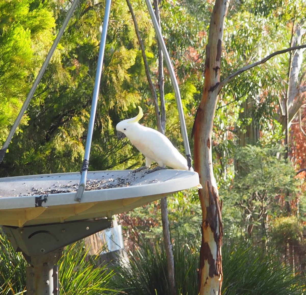 Day 5/7 of my life in pictures. Rules: no people, no words. Nominate someone new every day. I was nominated by 
@KFilerRobinson.  I nominate <a href="/eriefishdoc/">Chris Vandergoot</a>