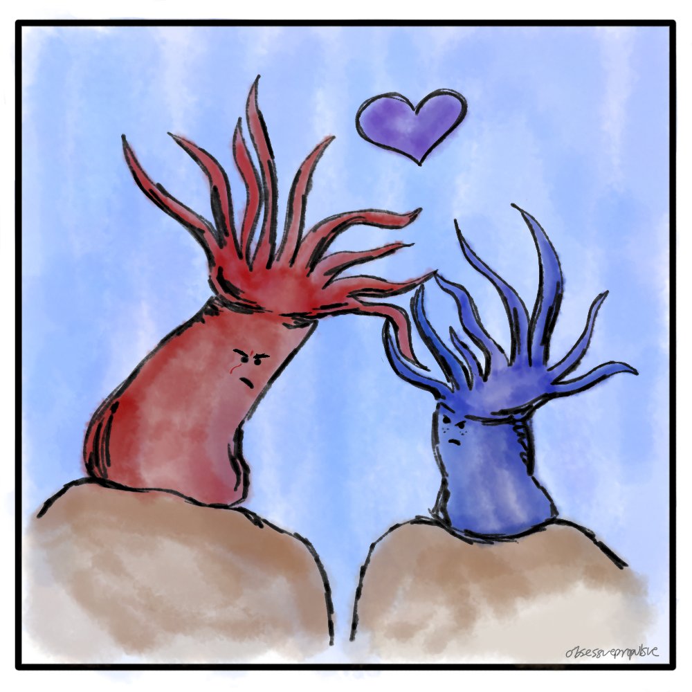 anemones