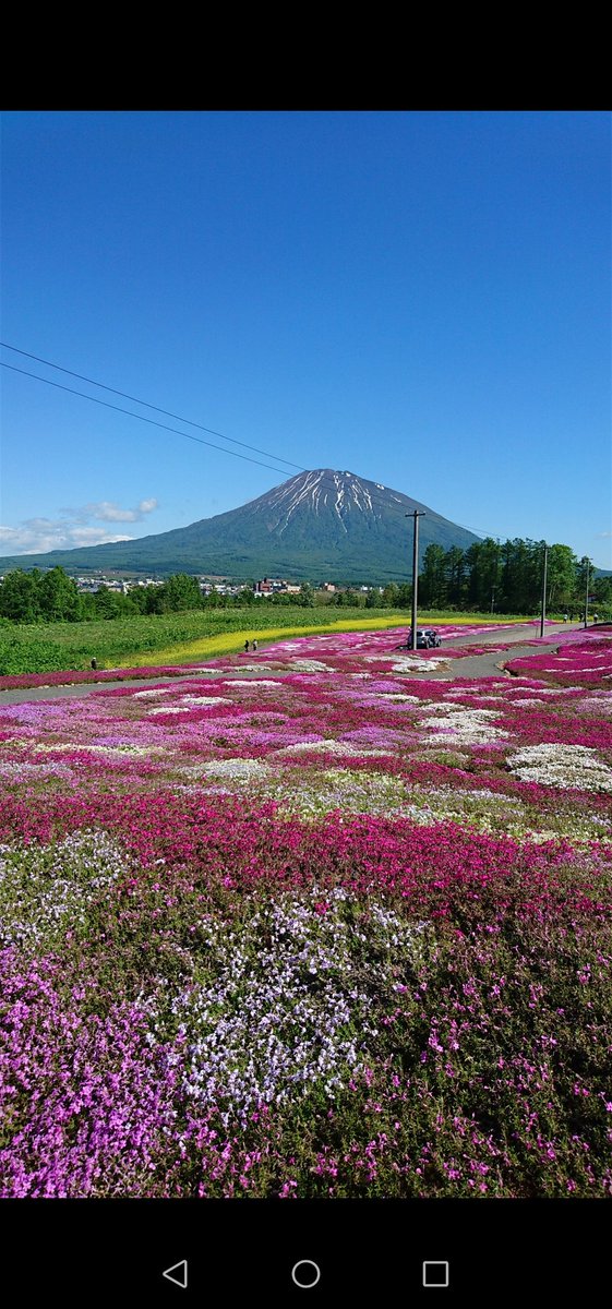 北海道虻田郡倶知安町 Hashtag On Twitter