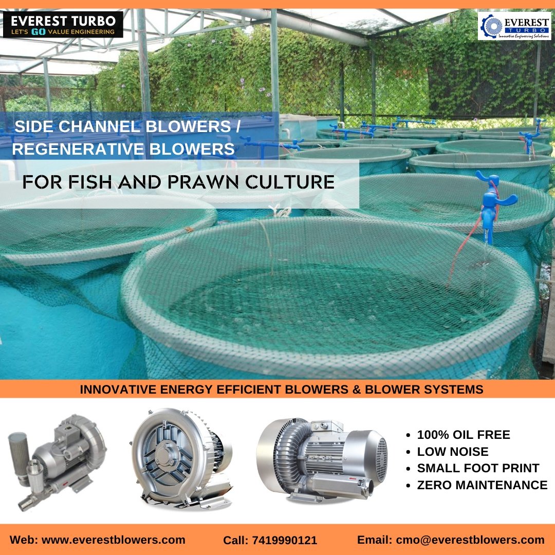 EverestTurbo's tweet photo. ENERGY EFFICIENT AERATION SOLUTIONS FOR AQUACULTURE (Fish & Prawn Culture)
#everestturbo #everestturbolife #weareeverestturbo #everestblowers #aquaculture #RAS #fishfarm #shrimpfarm #hydroponics #aquaponics #sidechannelblower #turbineblower #centrifugalblowers #dynamicblowers https://t.co/UBlPtqoC07