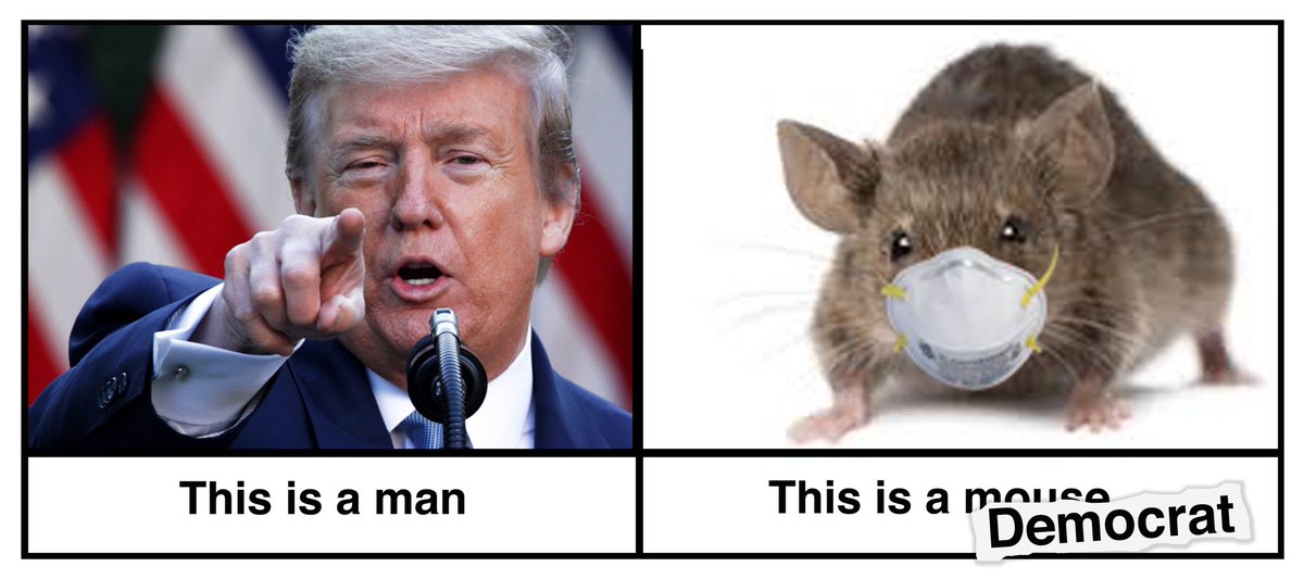 ilynskyrim's tweet image. #EndTheShutdownNow