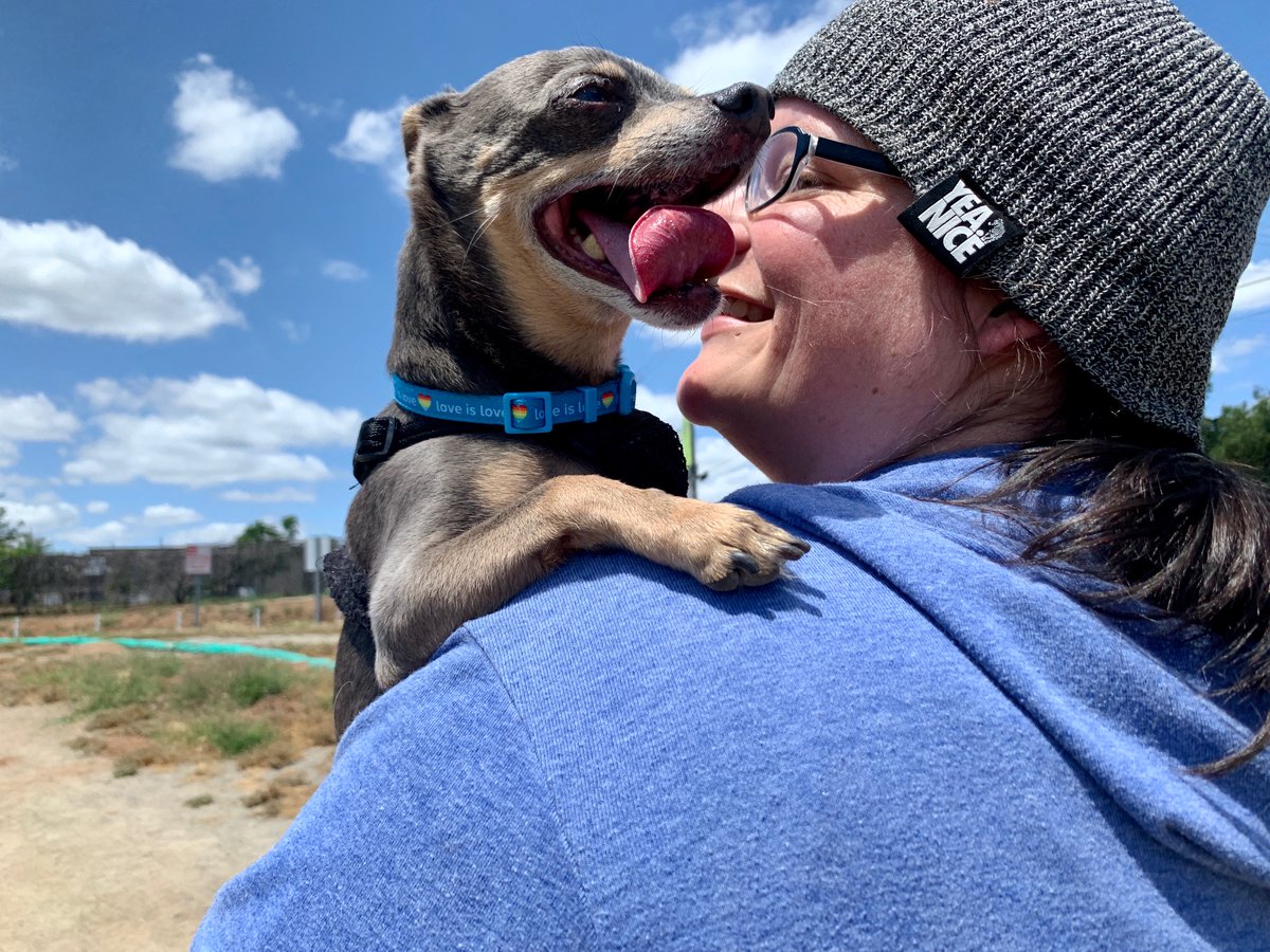 MandaBrown's tweet photo. Parker Pocket had fun with his lady friend Cashew today 😍 Thanks @dudeferrsherr for taking the pics! ❤ https://t.co/311kHPnfJu