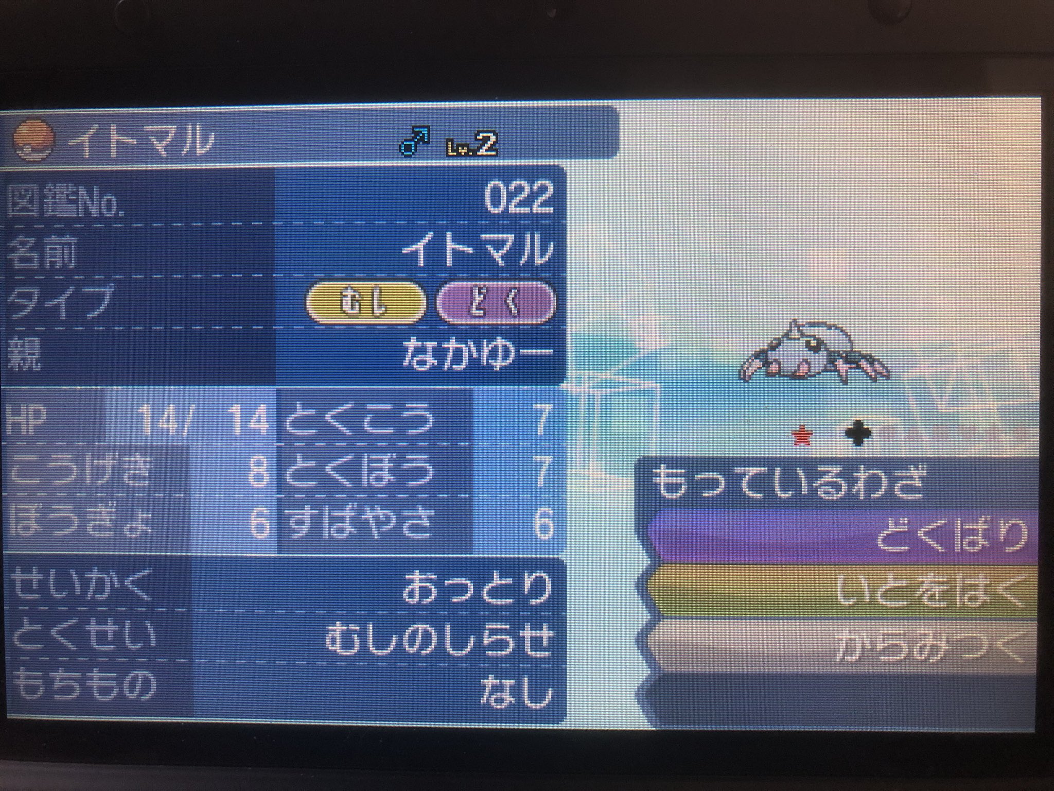 最近別のゲームにハマり中 イトマル 2匹目 連鎖405 サンムーン 色違い T Co Hiuuitbksl Twitter