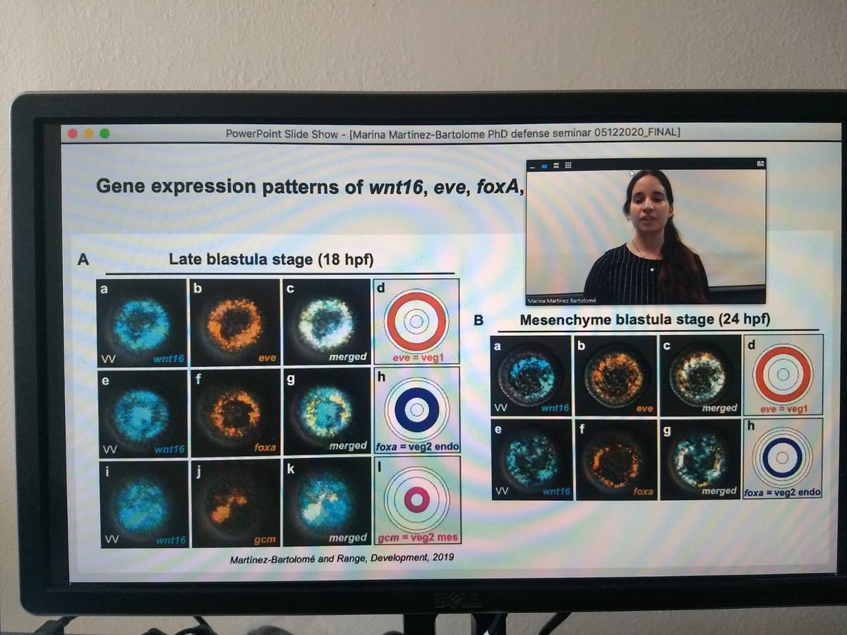 marinaryl's tweet photo. I am happy to share that I successful defended my dissertation from @AuburnU. Thank you everyone who could attend my PhD defense seminar, I hope we can celebrate in person soon! #PhDone https://t.co/REXf8lERzT