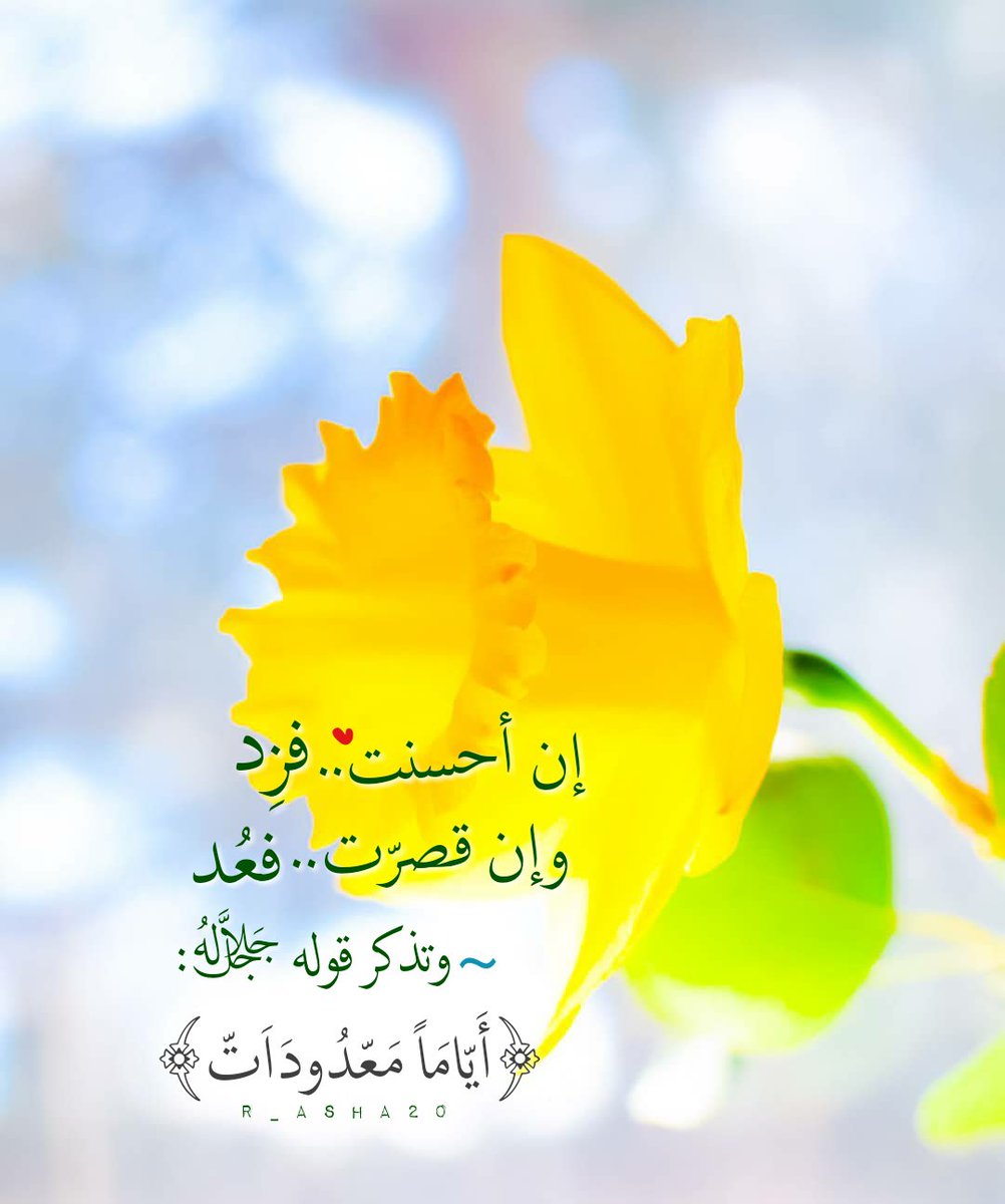 R_asha20's tweet photo. #تصميمي ✨ https://t.co/X9lSOlXKcs
