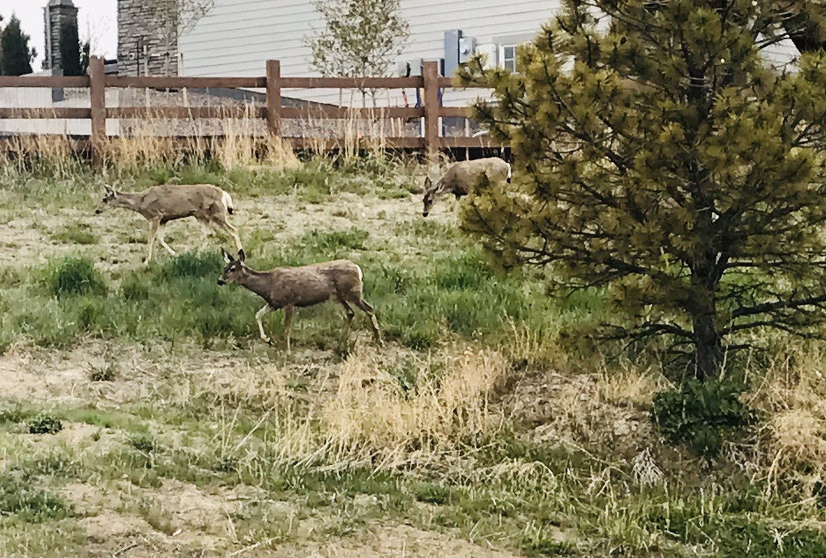 Sofie Price-Lavender tweet media