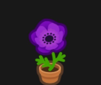 MikeFromMidgard's tweet photo. In need of 1 purple wind flower! Willing to pay BELLS and/or NMT! Or whatever you might want! hit me up! #ACNH #acnhtrades #AnimalCrossingNewHorizons #NOOKAmazon #ACNHFLOWERS #nookazon https://t.co/ZTYTNudWI1