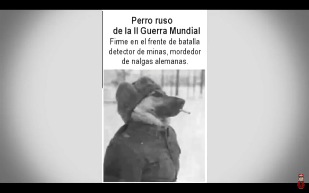 Santiag77458116 tweet picture