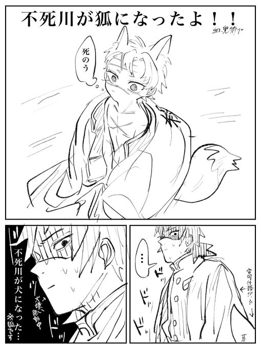 狐さんになったよ(体格ばらばら) 
