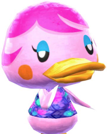 ⭐️