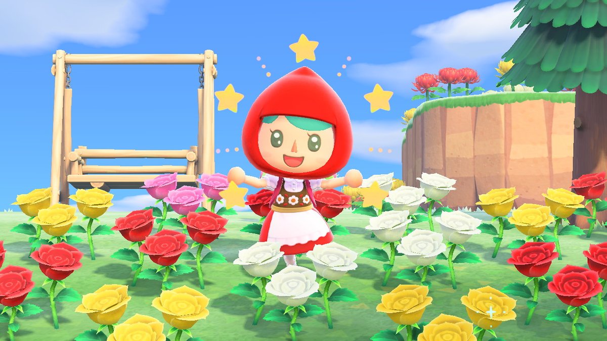 マロン 薔薇の交配むずかしいね 紫とオレンジはいつ咲くのかな どうぶつの森 Animalcrossing Acnh Nintendoswitch