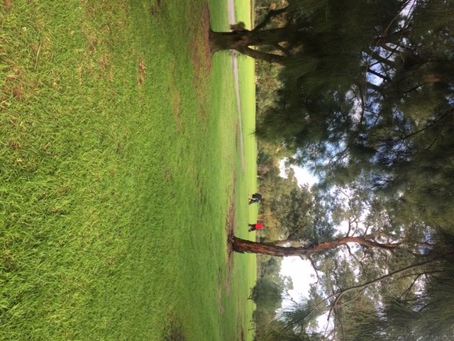 activemelbourne's tweet photo. We are thrilled to be back. Royal Park Golf Course is open confirming a gradual easing of Covid-19 restrictions. Great way to exercise whist social distancing. Strictly people need to call 80606957/ https://t.co/ql9aOBmidH to secure your booking. #activemelbourne #royalparkgolf https://t.co/oVjkLjGTJz