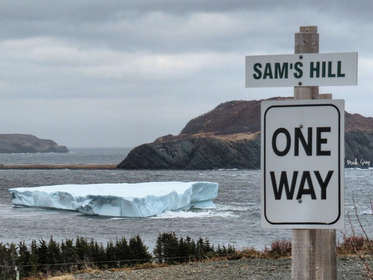 🇨🇦 tweet media