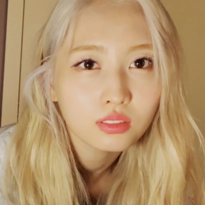 dailyhiraimomo's tweet photo. i’m so in love w her like,,, god??? https://t.co/gRunfHC505