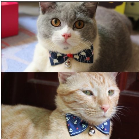 pussycatsdev's tweet photo. https://t.co/b4YfiQCuQX