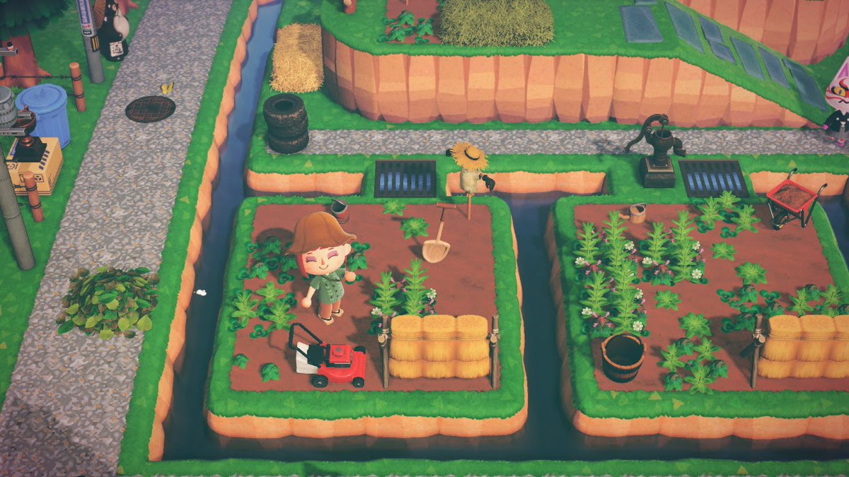 ごま いろはにほへ島 やったぁ 雑草かなり間引いたら本当に成長してきました この1カ月全然成長しなくてずっと悩んでたので Animalcrossingnewhorizons Acnh あつまれどうぶつの森 あつ森