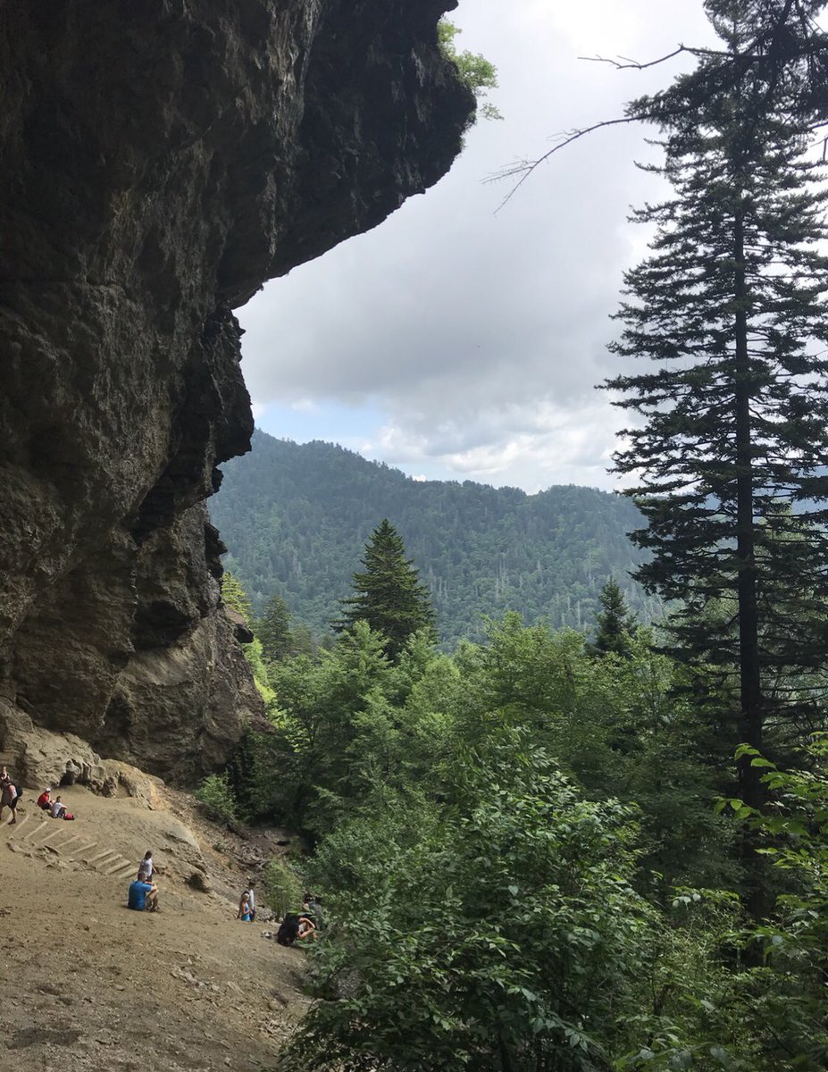 KaylaButOnline's tweet photo. Hiking the @GreatSmokyNPS and white water rafting Pigeon River. Lots of laughs and Shania Twain jams on this celebratory college graduation road trip circa 2018. #REImember https://t.co/TYfvMJQDzF