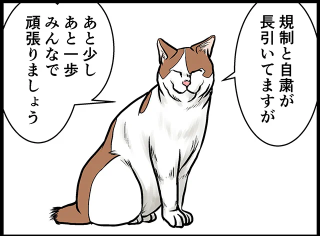 猫パンチTVで毎週木曜日に4コマ漫画更新中です。  ネコぐらし #ネコまんが #WEB漫画 