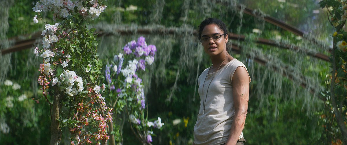 annihilation (2018)★★★directed by alex garlandcinematography by rob hardy
