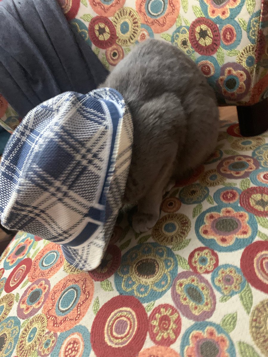 sienna.sole2020 tweet media